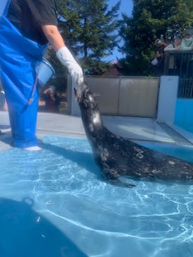 登別マリンパークニクスに投稿された画像（2023/10/5）