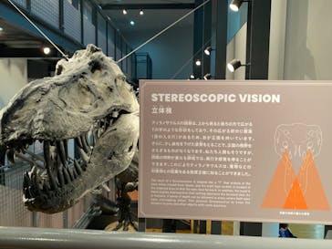 福井県立恐竜博物館に投稿された画像（2023/10/5）