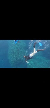 石垣島 ADVENTURE PiPi（イシガキジマアドベンチャーピピ）に投稿された画像（2023/10/5）