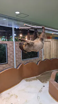 ひらかたパークに投稿された画像（2023/10/5）