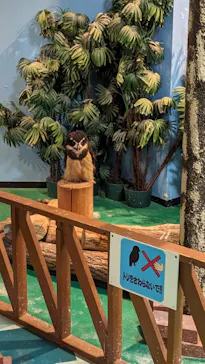 ひらかたパークに投稿された画像（2023/10/5）