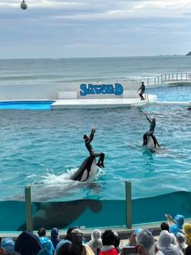 鴨川シーワールドに投稿された画像（2023/10/5）