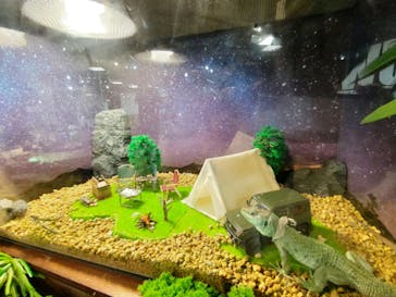 NARA IKIMONO MUSEUMに投稿された画像（2023/10/5）