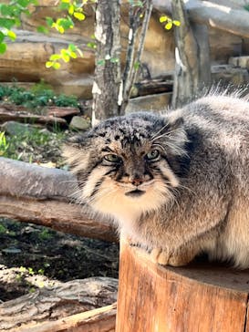 那須どうぶつ王国に投稿された画像（2023/10/5）