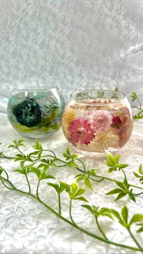 ずこうしつ〜sugamo〜に投稿された画像（2023/10/5）