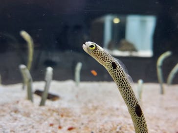 AOAO SAPPOROに投稿された画像（2023/10/5）