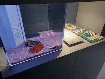 AOAO SAPPOROに投稿された画像（2023/10/5）