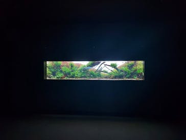 AOAO SAPPOROに投稿された画像（2023/10/5）