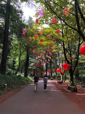 ムーミンバレーパークに投稿された画像（2023/10/5）