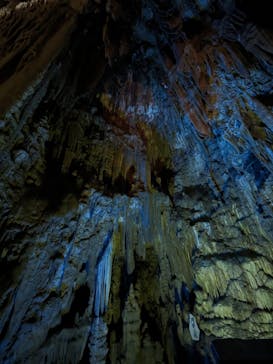 あぶくま洞に投稿された画像（2023/10/6）