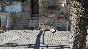 東武動物公園に投稿された画像（2023/10/6）
