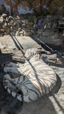 東武動物公園に投稿された画像（2023/10/6）