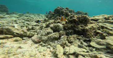 武藤潜水に投稿された画像（2023/10/6）