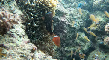 武藤潜水に投稿された画像（2023/10/6）