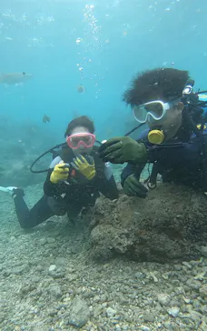 武藤潜水に投稿された画像（2023/10/6）