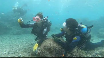 武藤潜水に投稿された画像（2023/10/6）