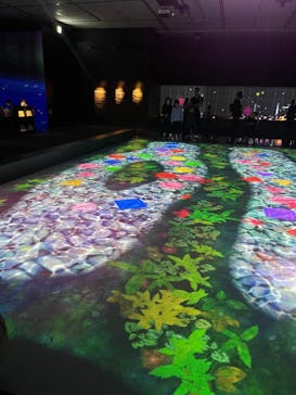 チームラボに投稿された画像（2023/10/6）