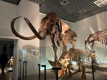 国立科学博物館に投稿された画像（2023/10/6）