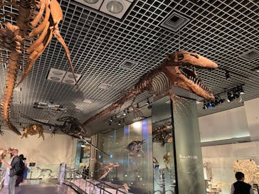 国立科学博物館に投稿された画像（2023/10/6）