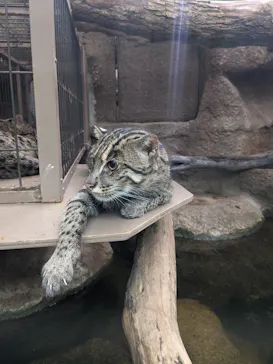 神戸どうぶつ王国に投稿された画像（2023/10/6）