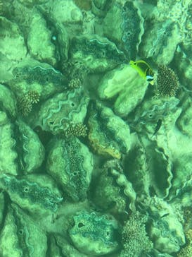 まりんはうすぐるくんに投稿された画像（2023/10/6）