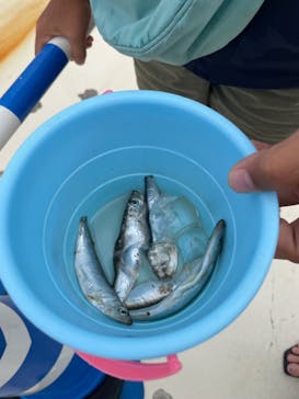 沖縄美ら海水族館（館内体験）に投稿された画像（2023/10/6）