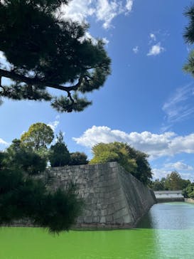 京都市観光協会（催行運営：株式会社らくたび）に投稿された画像（2023/10/6）