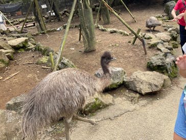伊豆シャボテン動物公園に投稿された画像（2023/10/6）