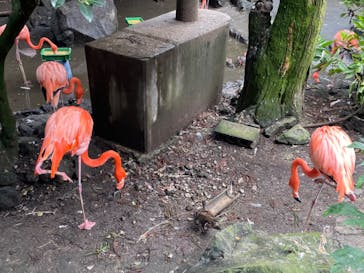 伊豆シャボテン動物公園に投稿された画像（2023/10/6）