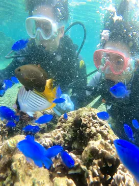 武藤潜水に投稿された画像（2023/10/7）