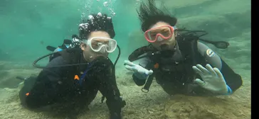 武藤潜水に投稿された画像（2023/10/7）