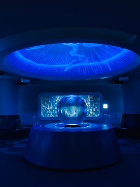 新江ノ島水族館に投稿された画像（2023/10/7）