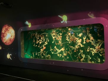 新江ノ島水族館に投稿された画像（2023/10/7）