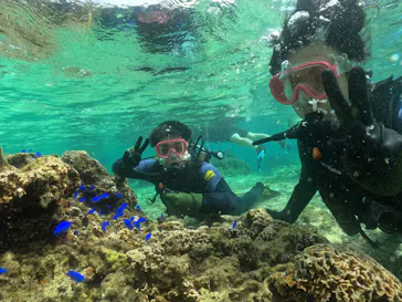 武藤潜水に投稿された画像（2023/10/7）