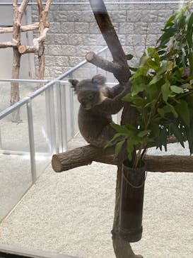 淡路ファームパーク イングランドの丘に投稿された画像（2023/10/7）