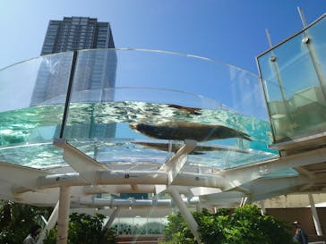 サンシャイン水族館に投稿された画像（2023/10/7）