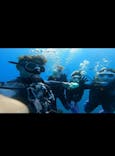 DIVING-SHOP SUNSに投稿された画像（2023/10/7）