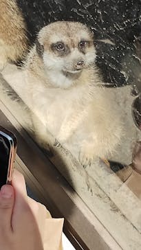 宇都宮動物園に投稿された画像（2023/10/7）