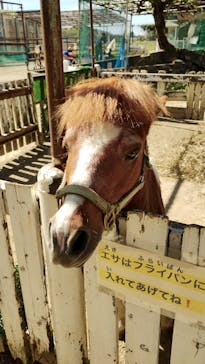 宇都宮動物園に投稿された画像（2023/10/7）