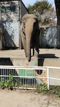 宇都宮動物園に投稿された画像（2023/10/7）