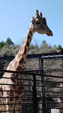 宇都宮動物園に投稿された画像（2023/10/7）