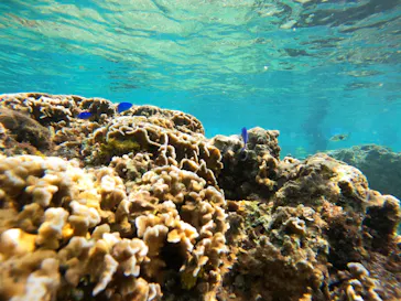 武藤潜水に投稿された画像（2023/10/7）