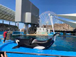 名古屋港水族館に投稿された画像（2023/10/7）