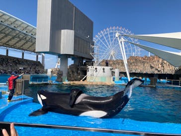 名古屋港水族館に投稿された画像（2023/10/7）