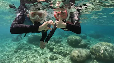 武藤潜水に投稿された画像（2023/10/7）