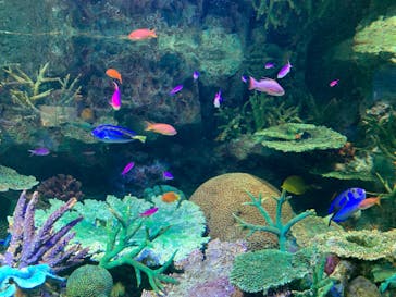 サンシャイン水族館に投稿された画像（2023/10/7）