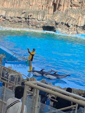 名古屋港水族館に投稿された画像（2023/10/7）