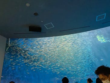名古屋港水族館に投稿された画像（2023/10/7）