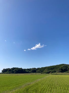 成田の命泉　大和の湯に投稿された画像（2023/10/7）