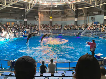 マクセル アクアパーク品川に投稿された画像（2023/10/7）